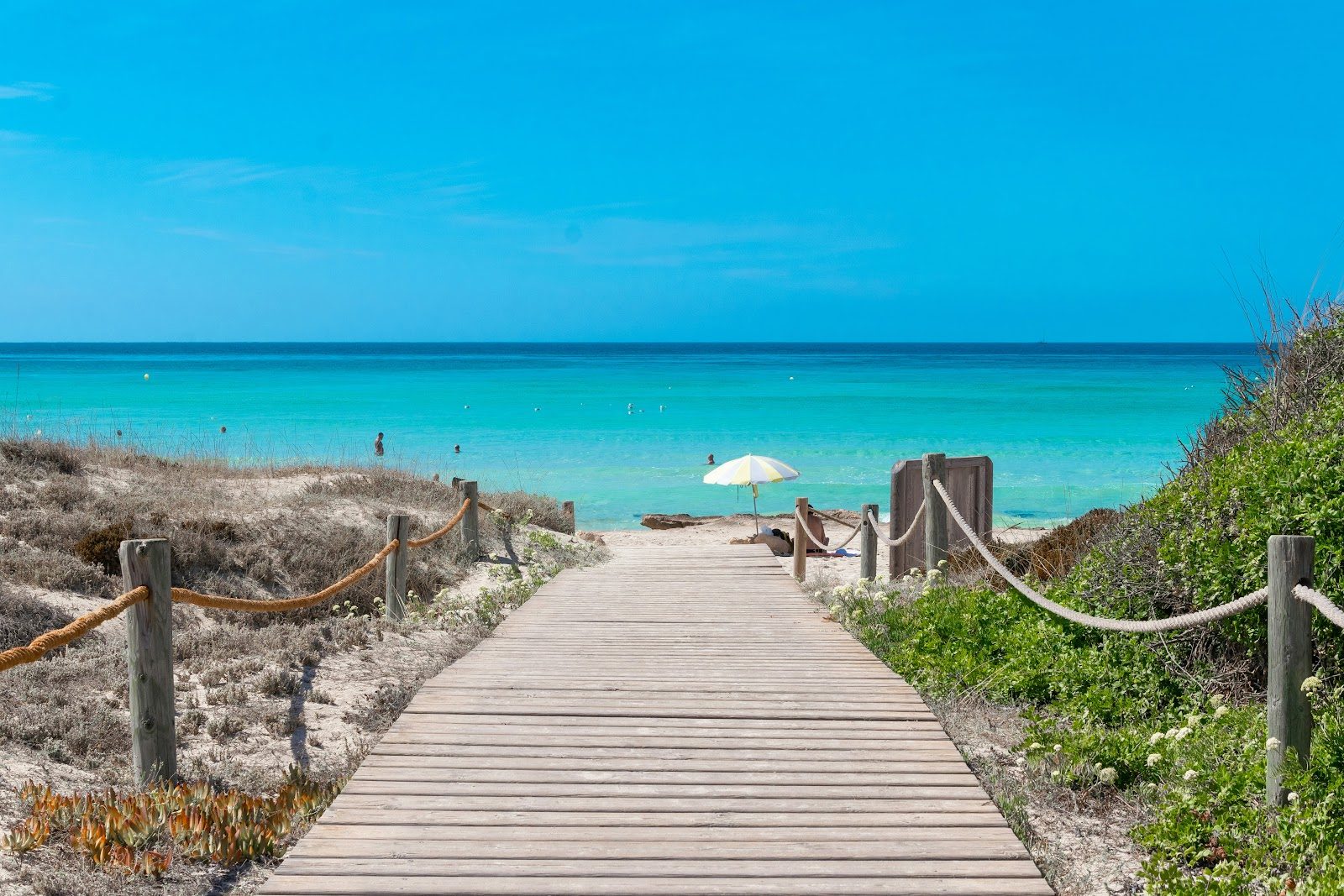 Spiagge